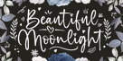 Beautiful Moonlight Thumbnail #1