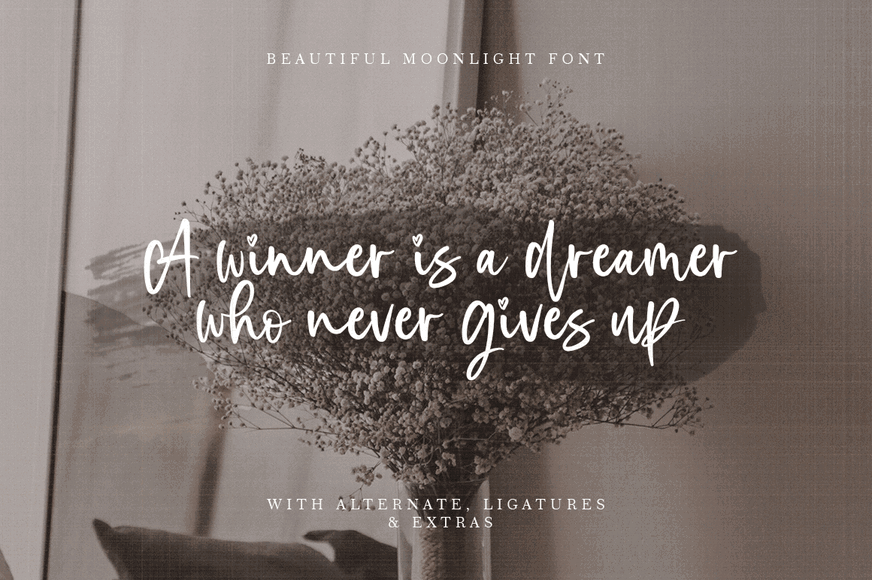 Beautiful Moonlight Font Poster #13