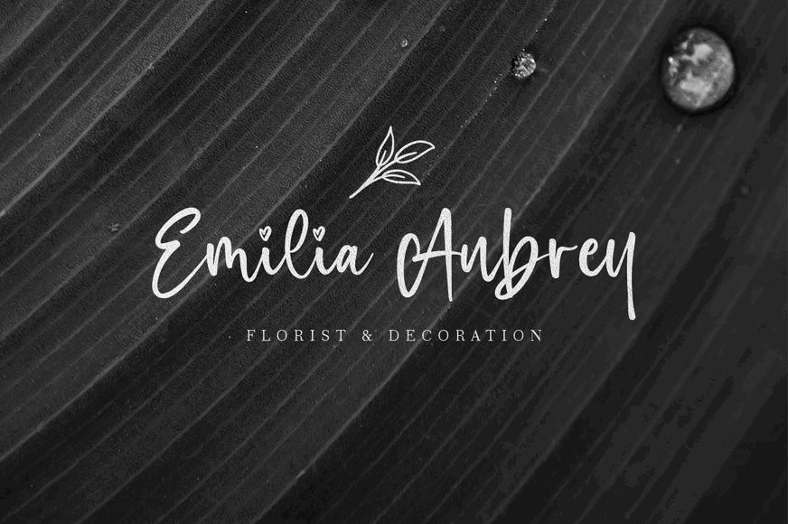 Beautiful Moonlight Font Poster #8