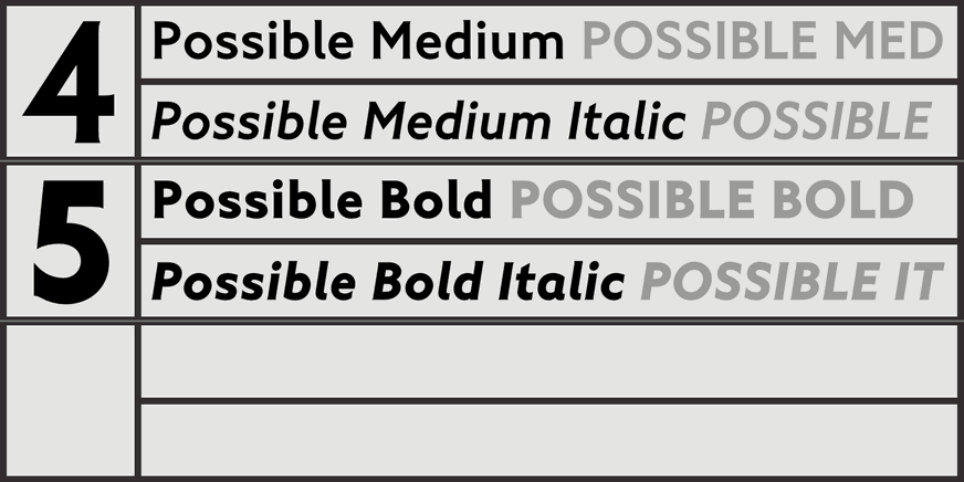 Possible Font Poster #5