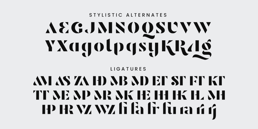 Raginy Font Poster #9