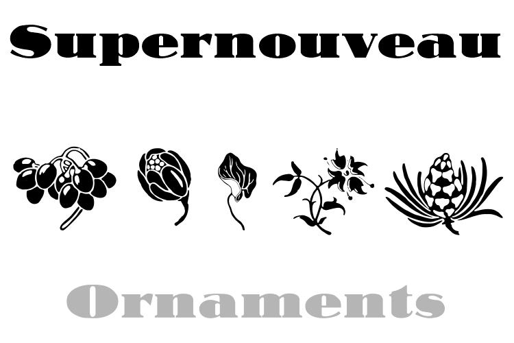 Supernouveau Font Poster #5