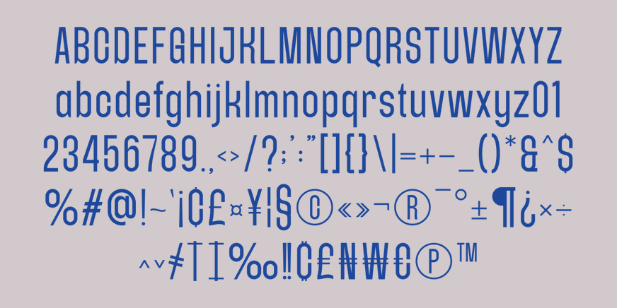 Adoner Font Poster #8
